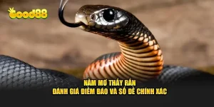 Nằm mơ thấy rắn